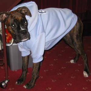 My New Hoody