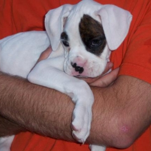 safe_with_dad