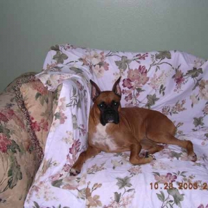 Ms. Tasha