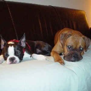 jessie_and_chloe