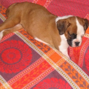 Major asleep
