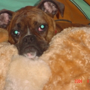 abby cuddling