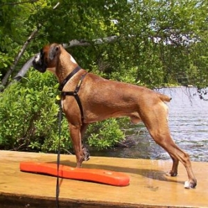 Life guard!
