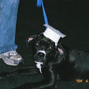 Puppy Kindergarten Grad