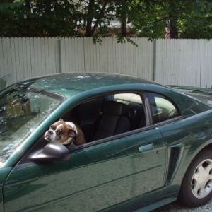 You Promised a car ride!