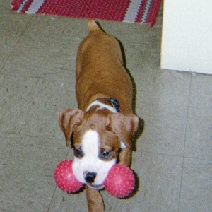 Mine!