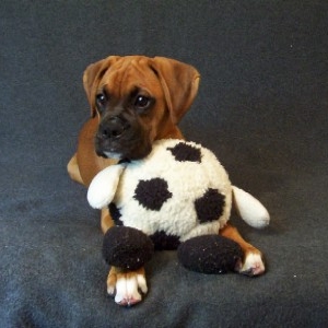 What a cutie!