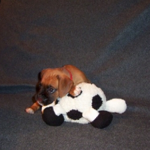 Baby Picture
