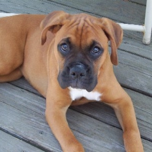 Beautiful Baby