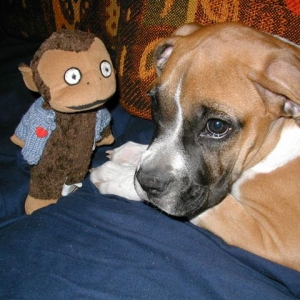 Bobo  and Gus