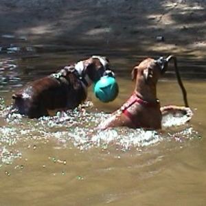 water toys