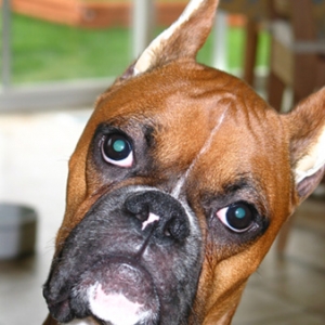 AJ says, "What?"
