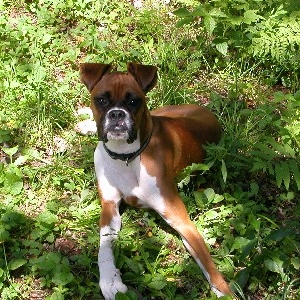 Miss Mia