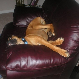 Sleepin Beauty