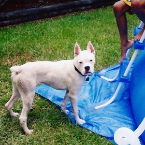 water days