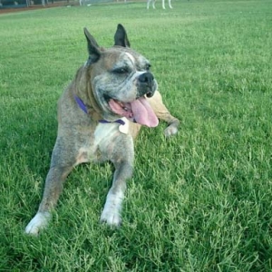 Julia Valentine at the park