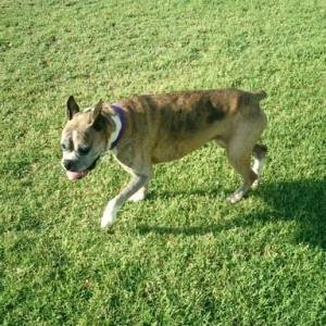 Julia Taking a Walk
