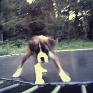 Weeeeeeeeeee this is fun!