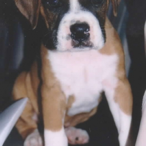Another shot on the first day home.