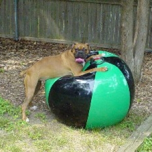 this_is_MY_ball
