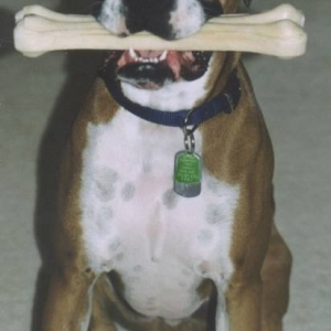 A NEW BONE!!!