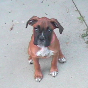 My little angel