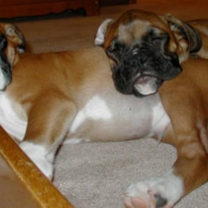 Nap Time!