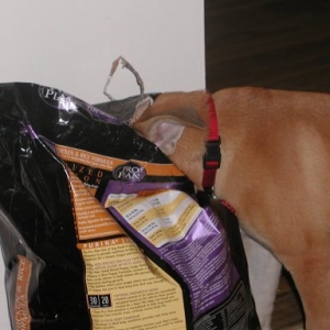 Score!  mmm foooood!