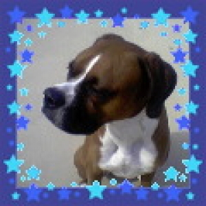 Dexter