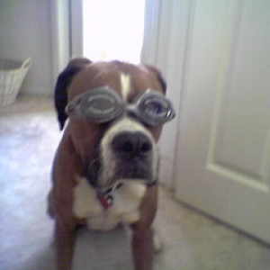 Goggles