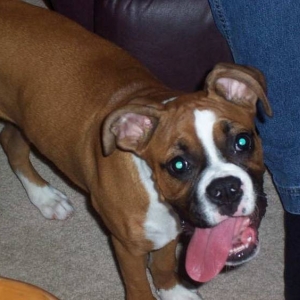Roxi just hangin' out