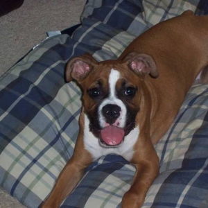 Such a happy girl...