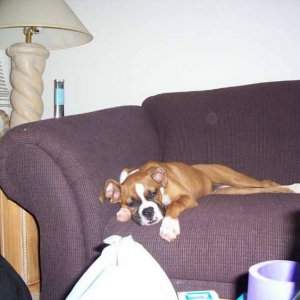 Sleepy girl...