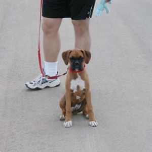 walktime