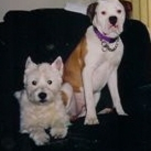 Sydney and Zoe