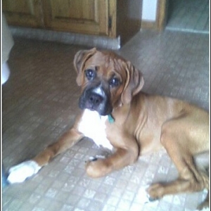 Jaz_13_weeks_3