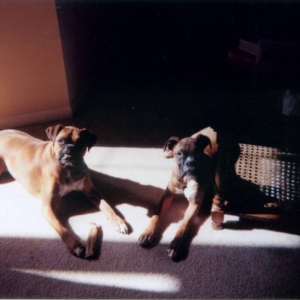 Basking in the sun