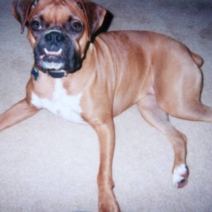 Lexi posing
