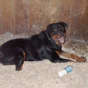 Camping out in the barn!