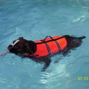 Cooling off
