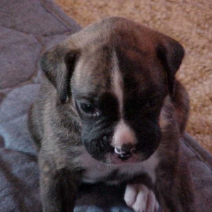 Makita at 3 weeks!!