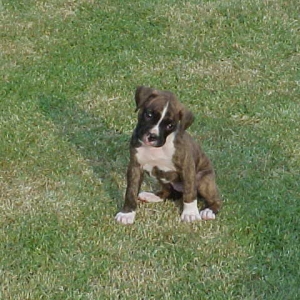 Why do I have to Take a Picture?