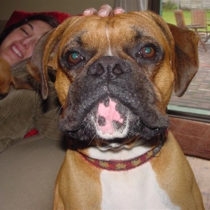 Grumpy Tyson