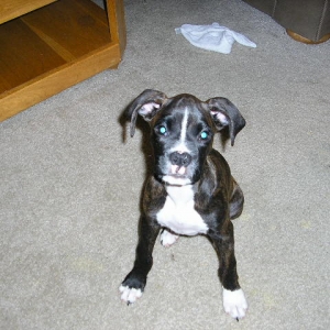My little girl is growing up