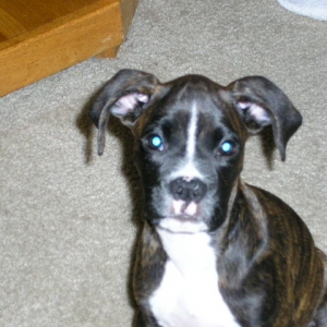 What a cutie!!!!