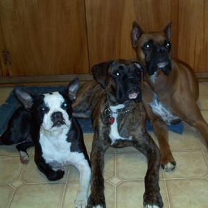 All_3_posing