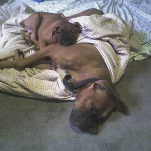 Nap Time