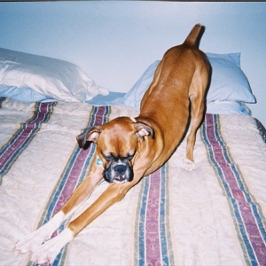Stretch....