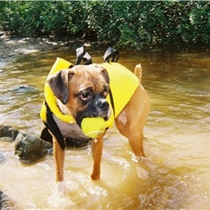 Stolen ball