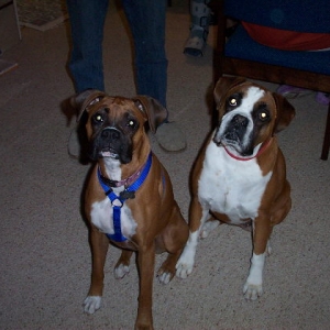 brandy and aunty ruby
